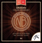 Strings Acoustic Gtr D'Addario Nickle Bronze 13-56