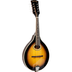 Mandoline Gold Tone F Style W Case